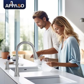 APPASO 2 Hole Kitchen Faucet with Pull Down Sprayer, Stainless Steel Brushed Nickel Commercial Kitchen Sink Faucet with Side Single Handle, APS278BN