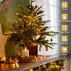 LumBelle 4 Pack String Lights Battery Operated, Each 23ft 70
