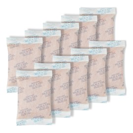 ROOMLINE 100 Gram (10 Packets) Silica Gel Packets, Desiccant Packs Silica Gel Desiccant Packets for Storage Rechargeable Moisture Absorbers Bags with Indicating Beads