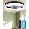 InfiniPower Low Profile Ceiling Fans with Lights and Remote 20in