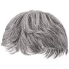 Priscilla GB-22-TGH Men's 5-Minute Wig, Layer Short