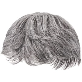 Priscilla GB-22-TGH Men's 5-Minute Wig, Layer Short