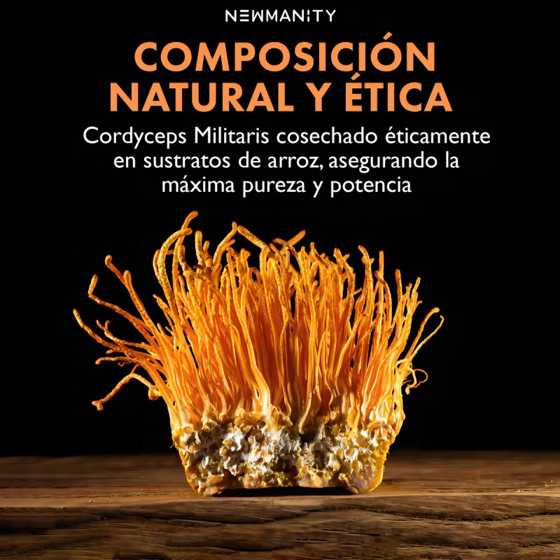 Cordyceps Militaris Newmanity 300 Caps Sin Sabor