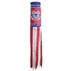 In the Breeze U.S. Coast Guard Windsock, 40-Inch,Red,Blue,White,6" W x