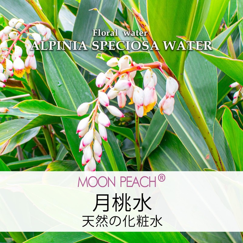 Natural Cosmetics Research Institute, Moon Peach, 100% Pure Solution, Preservative-free,