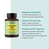 MONO Metabolism Active – 90 Capsules – with Vitamin B6