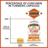 Trucurc Turmeric Curcumin with Black Pepper Supplement with 95% Pure