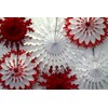 Devra Party 6-Piece Tissue Snowflakes, Red White, 15-22 Inch