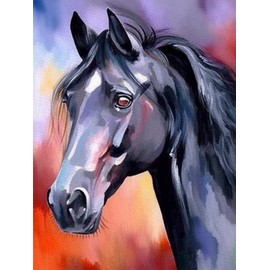 Bimkole Horse Paint by Number for Adults, DIY Oil Painting Kit Animal on Canvas with Paintbrushes and Acrylic Pigment, Perfect for Paint by Numbers for Adults Beginner, for Home Wall Decor16x20Inch