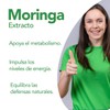NatGel Extracto De Moringa | Moringa Oleifera Pura Antioxidante Natural,