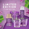 Glade PlugIns Refills Air Freshener, Scented and Essential Oils for
