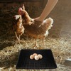 Tomaibaby Chicken Nesting Pads for Chicken Coop Nest Brooder Chicken
