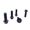 RISON-Titanium Hex Screws with Flange M8 x 1.25 x 25