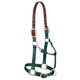 Weaver Equine Breakaway Original Adjustable Chin and Throat Snap Halter, Yearling Horse