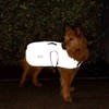 Proviz Reflect360 Micro-Fleece Lined Dog Coat, Silver, Medium