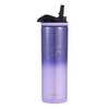 Skinny Straw Lilac Dreaming 20onz, IceShaker