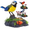Singing Chirping Bird Electronic Talking Repeating Parrot Electric Animal Toy