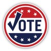 Vote Button Style - 12" Vinyl Sticker Waterproof Decal