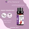 UVA NATURAL Aceite Esencial 10mL AROMATERAPIA (Granada)
