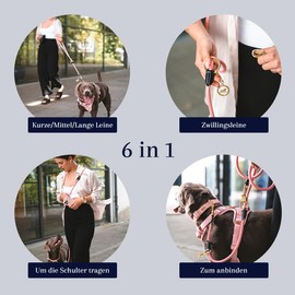 VELVETIER® Dog Lead 3 m Adjustable for Large and Medium Dogs Paracord Lead Nylon Double Lead with 2 Carabiners (Pink), 3 m x 1.1 cm)