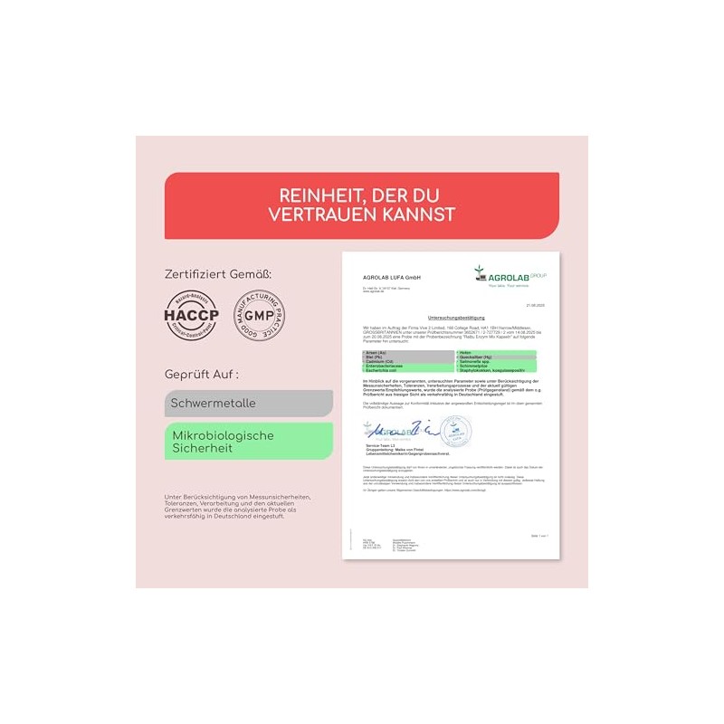 Digestive Enzymes - Enzyme Complex with High Activity - Gastric