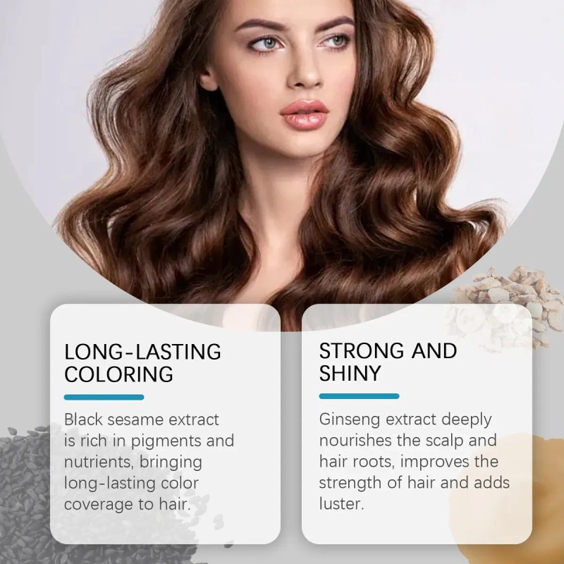 Shampoo Tinte Cabello Hoegoa Color Rojo 100ml