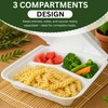 Concession Essentials- Foam Containers 3 Compartment / 9" x 9"