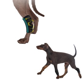 (S/M) Canine Hock Brace for Rear Legs,Joint Warps Strong Support Help for Hind Leg Injuries Sprains Arthritis Torn ACL(1Pair),Dog Leg Brace for Fornt and Back Leg,