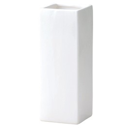 Greenhouse Black & White Vase 002 – C – W White