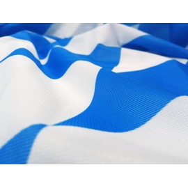 FLAGLY Premium Bavarian Diamond Flag without Crest 100 x 150 cm -115 g/m² Fabric Weight - Printed, Robust and Weather-Resistant Gloss Polyester with Eyelets (100 x 150 cm, Bavarian Diamond oW)