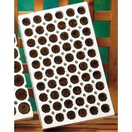 Park Seed Park Seed 60 Cell Bio Dome Planting Block with Bio Sponges
