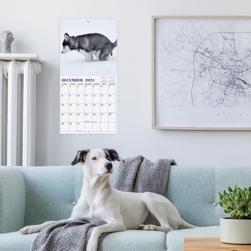 Gag Gifts - 2024 Wall Calendar, White Elephants Gifts, Dogs
