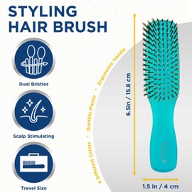 Giorgio GION2B Neon Blue 6.25 inch Gentle Touch Detangler Hair Brush for Men Women and Kids. Soft Bristles for Sensitive Scalp. Wet & Dry for all Hair Types. Scalp Massager Brush Stimulate Hair Growth