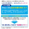Lacreche L8020 Lactic Acid Bacteria Chewable Lemon Mint Flavor Oral