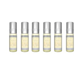Secret Man - 6ml (.2oz) Roll-on Perfume Oil by AlRehab (Box of 6)