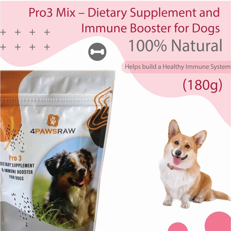 4PAWSRAW Dog Multivitamins & Minerals Supplement Immunity Booster Dietary Supplements