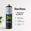 Shampoo De Órgano Y Nogal Cabello Teñido Matiza Oscuro 530