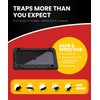 WowCatch Sticky Mouse Traps Indoor for Home - 16 Pack