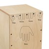 Donner Cajon Box Drum,Percussion instrument Full Size Stringed with Bag,