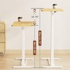 FLEXISPOT Mobile Standing Desk with Wheels Pneumatic Laptop Desk Rolling