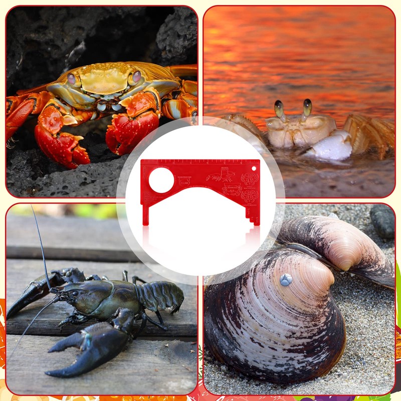 Kathfly 4 Pcs Crab Gauge Measure Clam Measuring Tool for