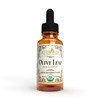 Khroma Herbal Products Organic Olive Leaf - 2 oz Liquid