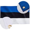 Runesol Estonia Flag, 91x152cm, 3ftx5ft,4 Grommets, Eyelet In Every Corner,