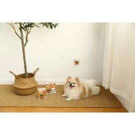 puraguaroma For Dog (Plug Aroma for Dog) missinguyu- Set