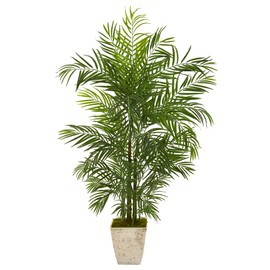Nearly Natural 63in. Areca Artificial Palm Tree in Country White Planter UV Resistant (Indoor/Outdoor)