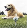 Callaway ONE Callaway Chrome Tour GOLDEN RETRIEVER Let the Big
