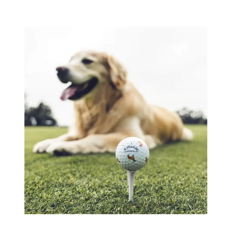 Callaway ONE Callaway Chrome Tour GOLDEN RETRIEVER Let the Big