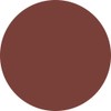 PREANFA PREGEL Muse Color Gel Terracotta Brown 200 0.1 oz