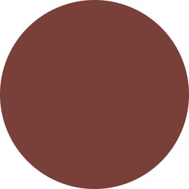 PREANFA PREGEL Muse Color Gel Terracotta Brown 200 0.1 oz (3 g) Gel Nail