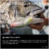 Shimano Black Seabream/Yellowtail Bream Brenias Rise Joint 75F XH-T75Y 002